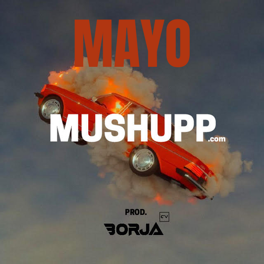 Mayo Pack - Acapella Outro + Melodic Intro
